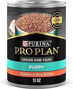 Purina Pro Plan High Protein Puppy Food Pate, Chicken and Brown Rice Entree - 13 oz. Can